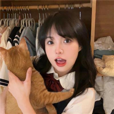 红犬历险记